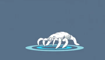 网宿科技OpenClaw方案：最佳边缘计算与安全防护测试