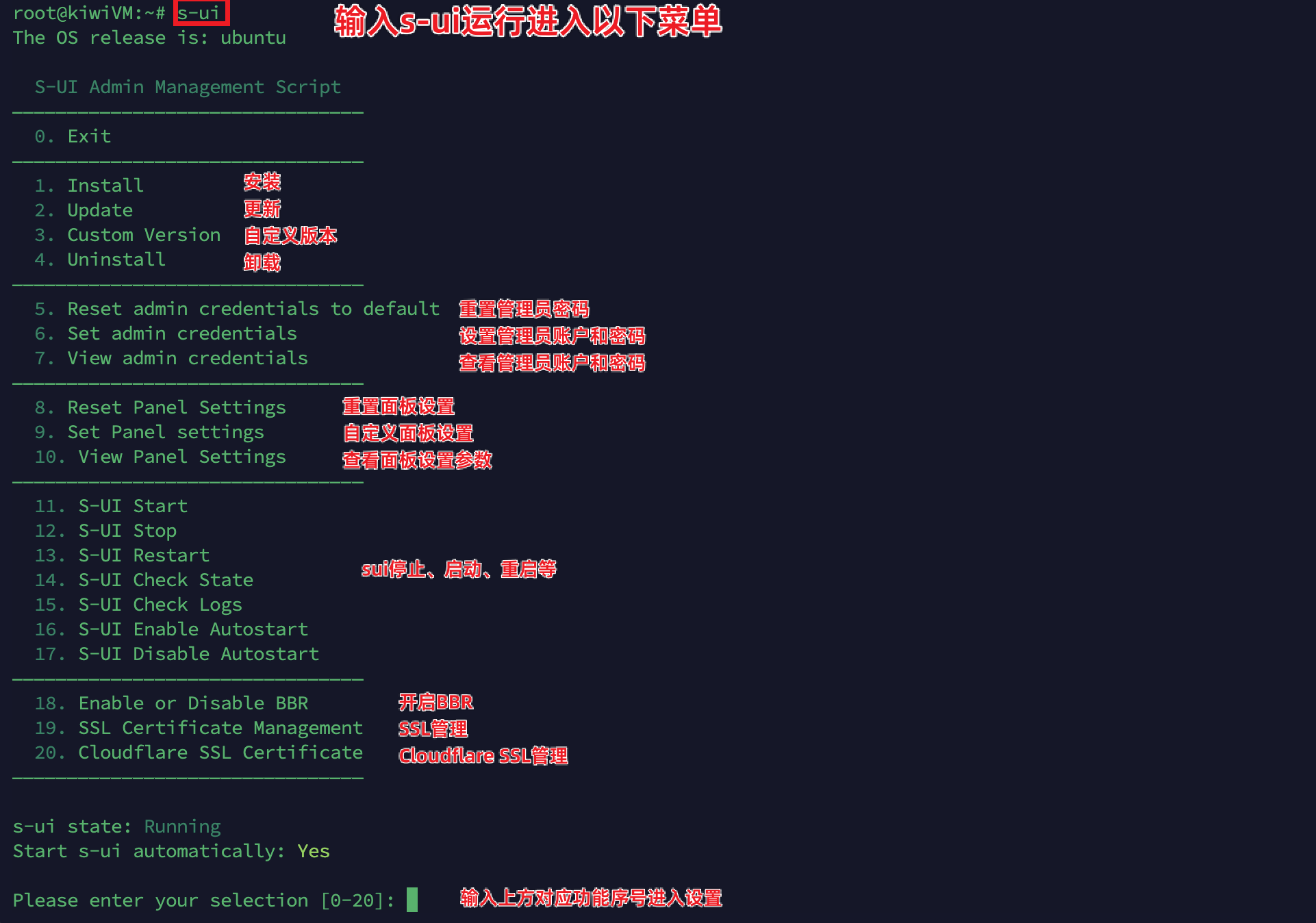 从零开始,手把手教你搭建机场:4种VPN翻墙协议